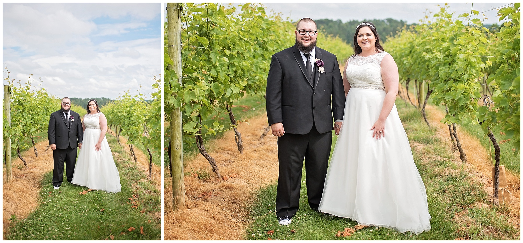 Naylor's Winery Wedding