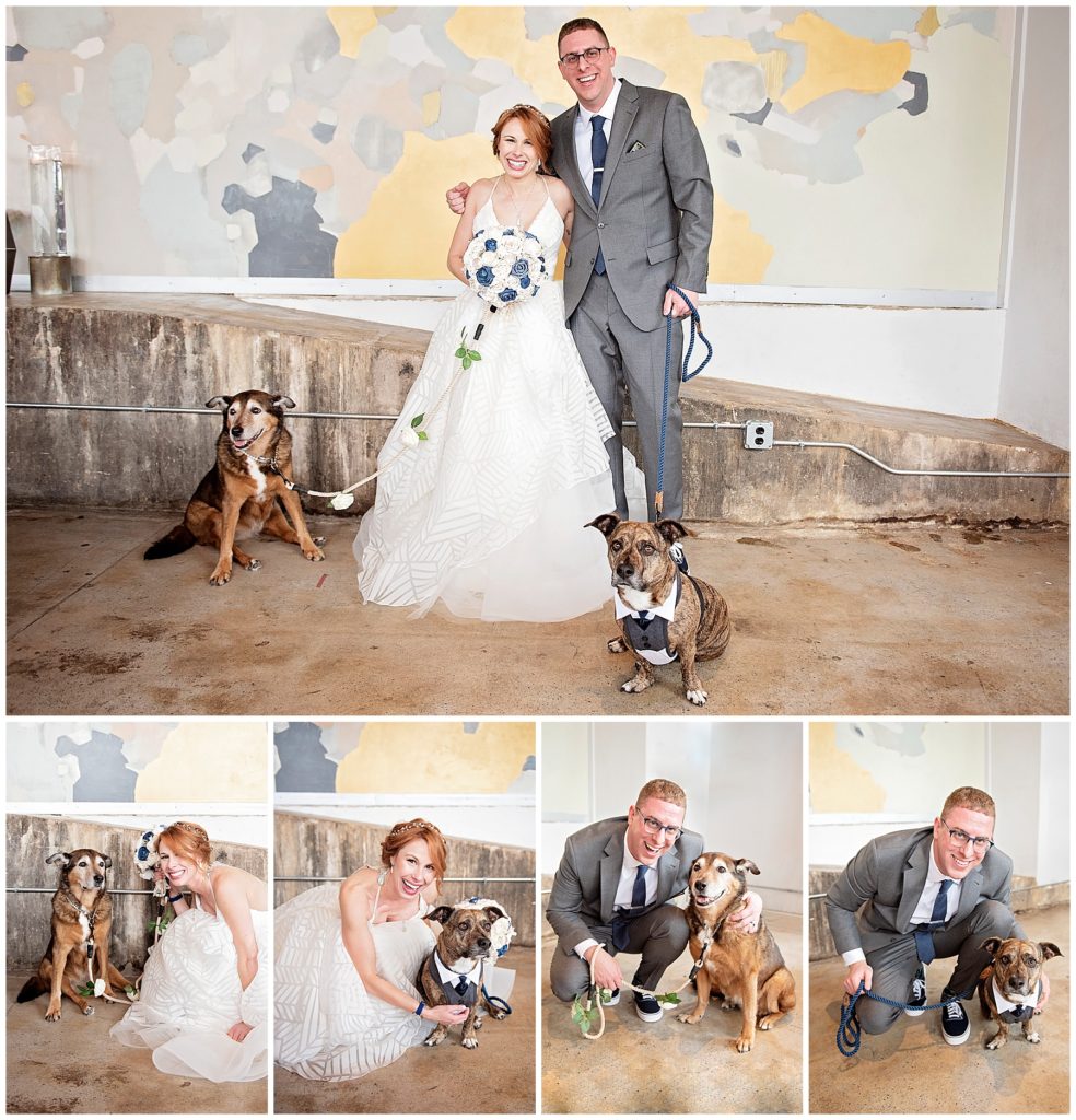 Wedding Couple with their dogs